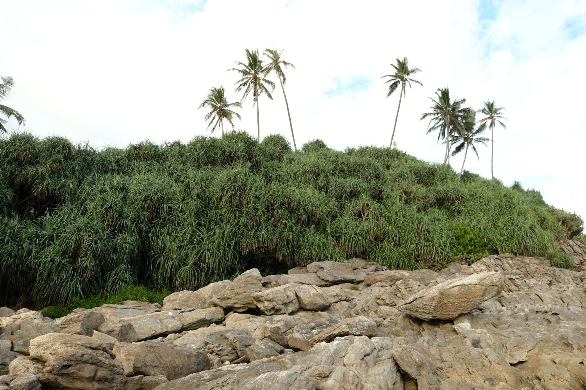 Menaka Homestay Tangalle Dış mekan fotoğraf